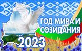 год мира